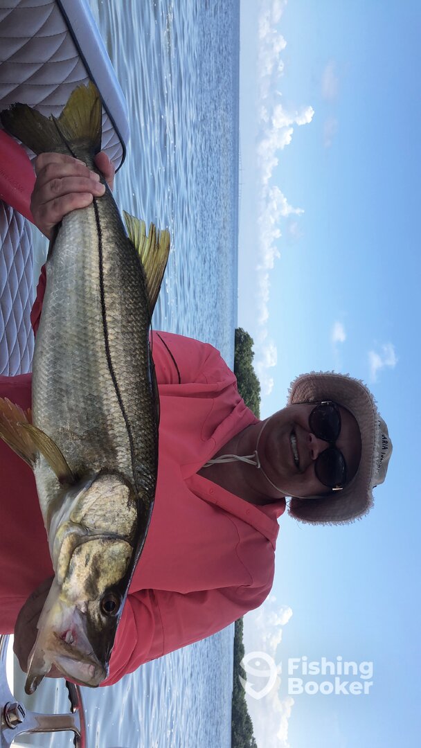 Sarasota Report Photo 0