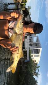 Sarasota Report Photo 1