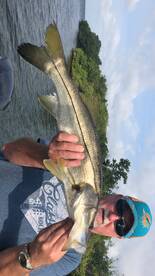 Sarasota Report Photo 2