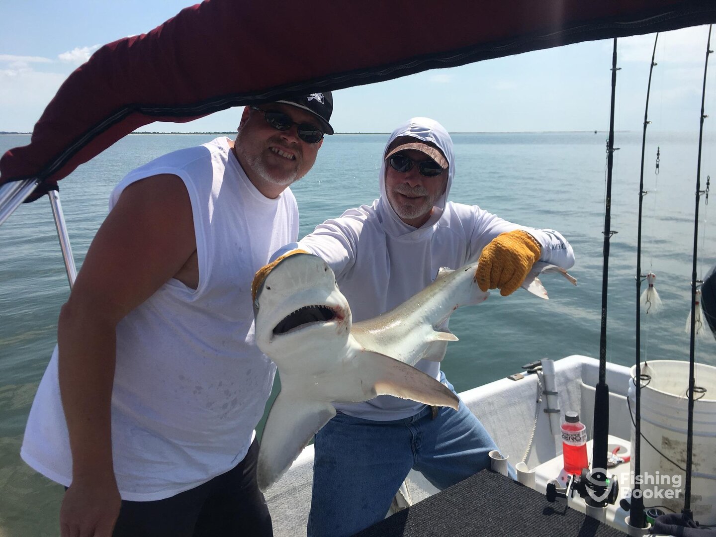 Chincoteague Report Photo 0