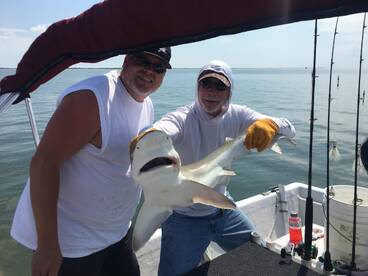 Shark begun, flounder still strong!