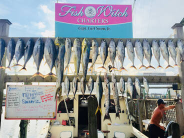 Carolina Beach Report Photo 1