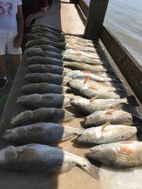 Venice Report Photo 2