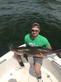 Virginia Beach Report Photo 1