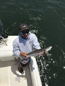 Virginia Beach Report Photo 2