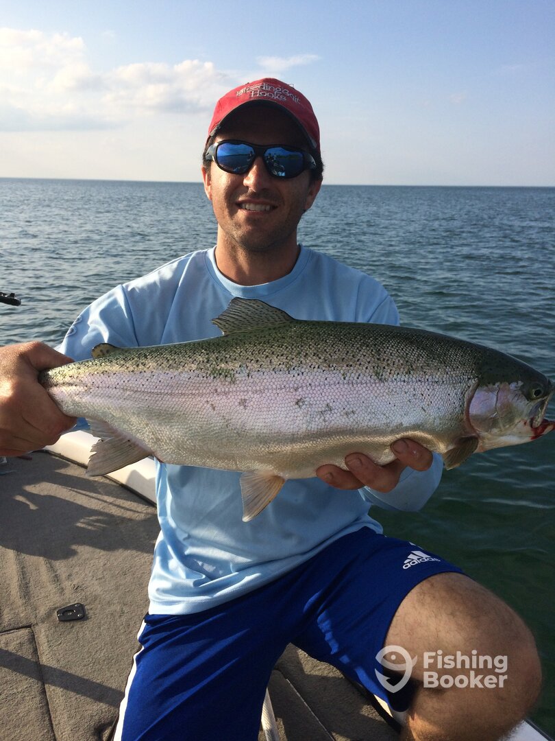 Hilton Report Photo 0