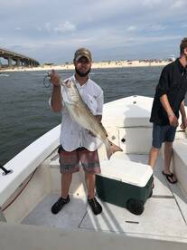 Orange Beach Report Photo 1