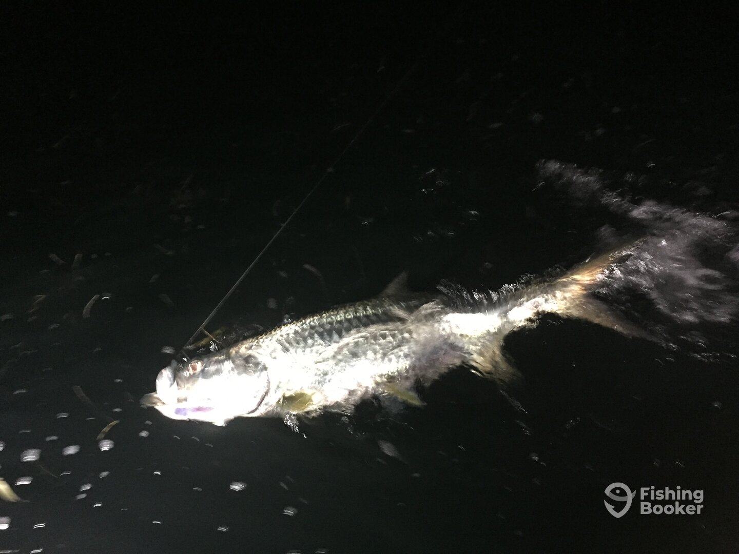 Miami Report Photo 0