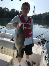 Rutledge Report Photo 2