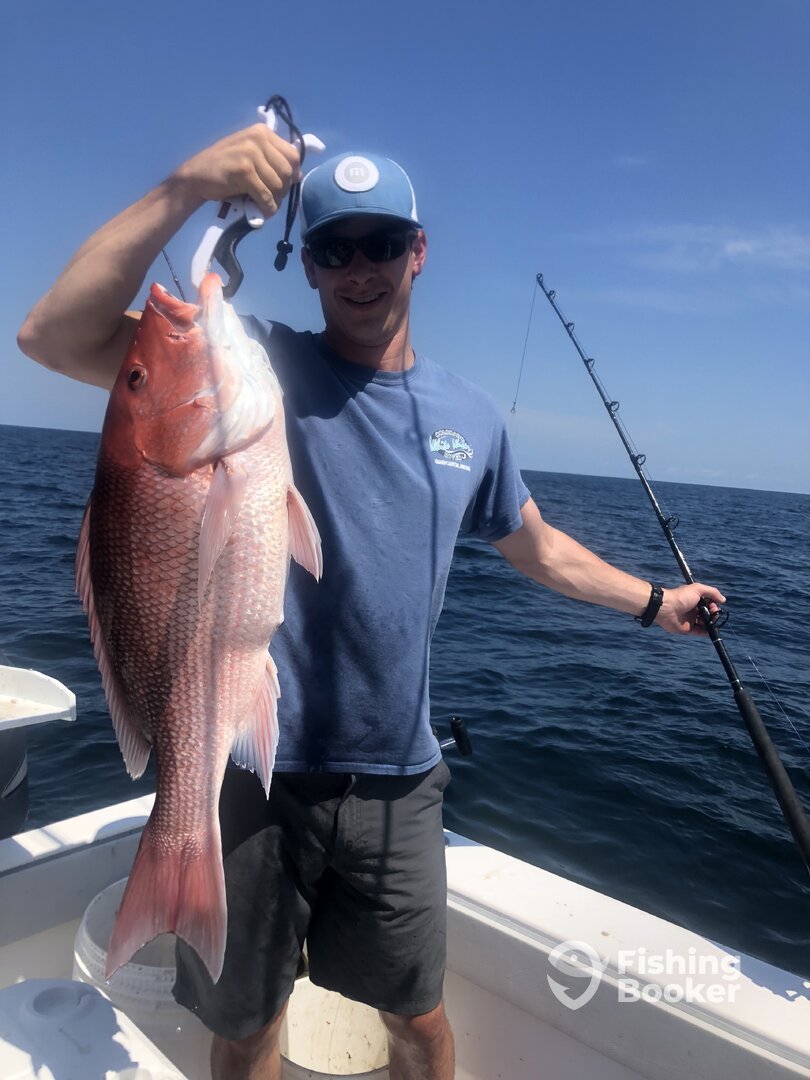 Orange Beach Report Photo 0