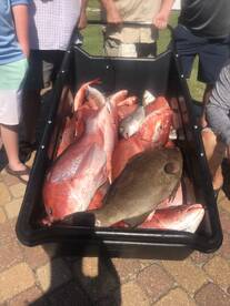 Orange Beach Report Photo 2