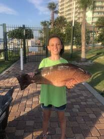 Orange Beach Report Photo 1