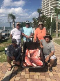 Snapper season in full swing!