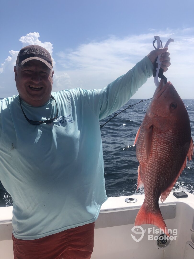 Orange Beach Report Photo 0