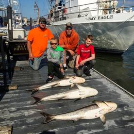 Virginia Beach Report Photo 1