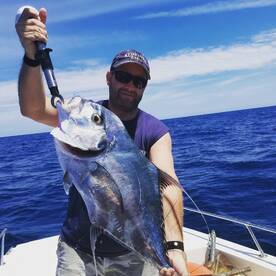 African Pompano, Almaco Jacks, Trigger f