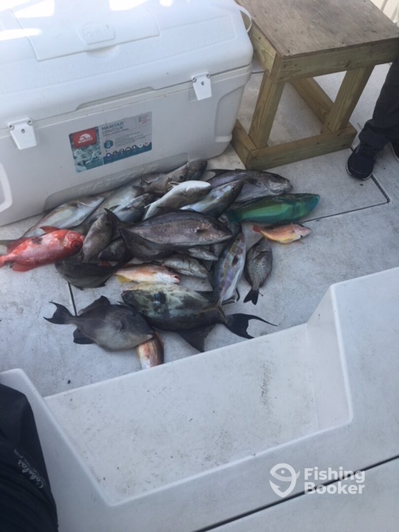 Fort Pierce Report Photo 0