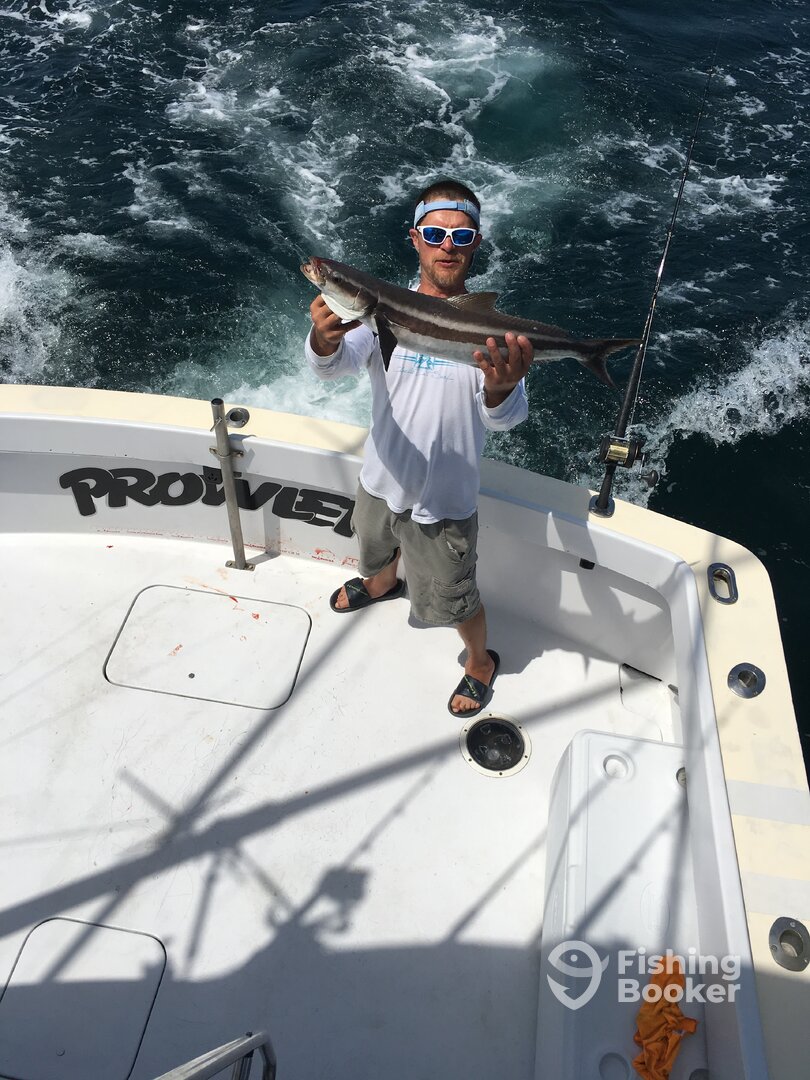 Norfolk Report Photo 0