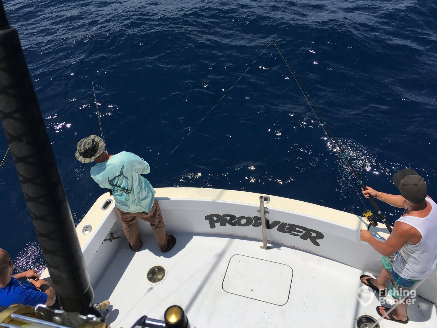 Norfolk Report Photo 0