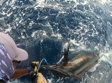 Port Vila Report Photo 1