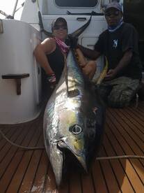 Port Vila Report Photo 2