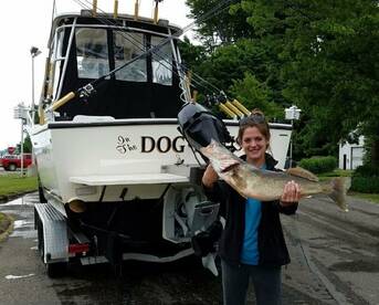 Fairview Report Photo 1