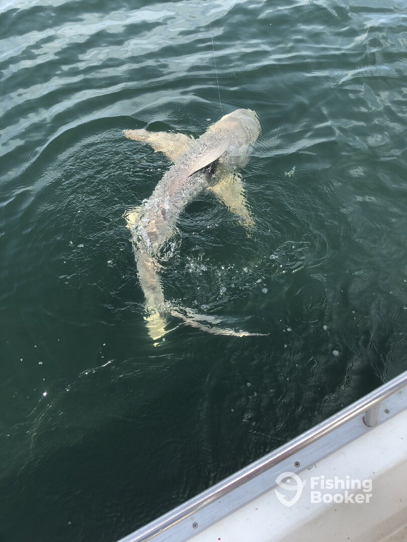 Destin Report Photo 0