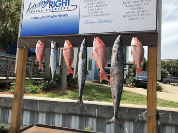 Destin Report Photo 2