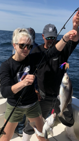 Gloucester Report Photo 1