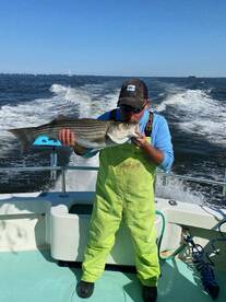 Fall rockfish pattern developing nicely