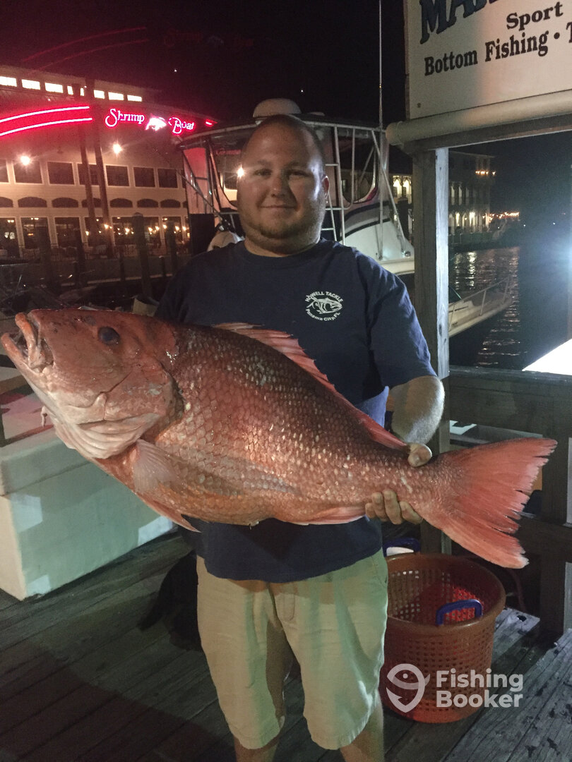 Panama City Report Photo 0