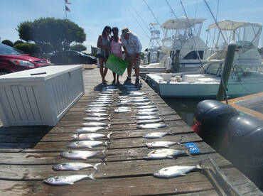 Great Spanish Mackeral fishing