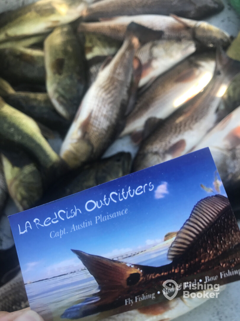 Port Sulphur Report Photo 0