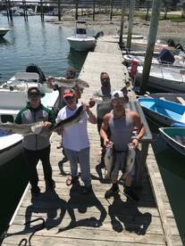 Scituate Report Photo 1