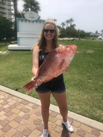 Orange Beach Report Photo 2