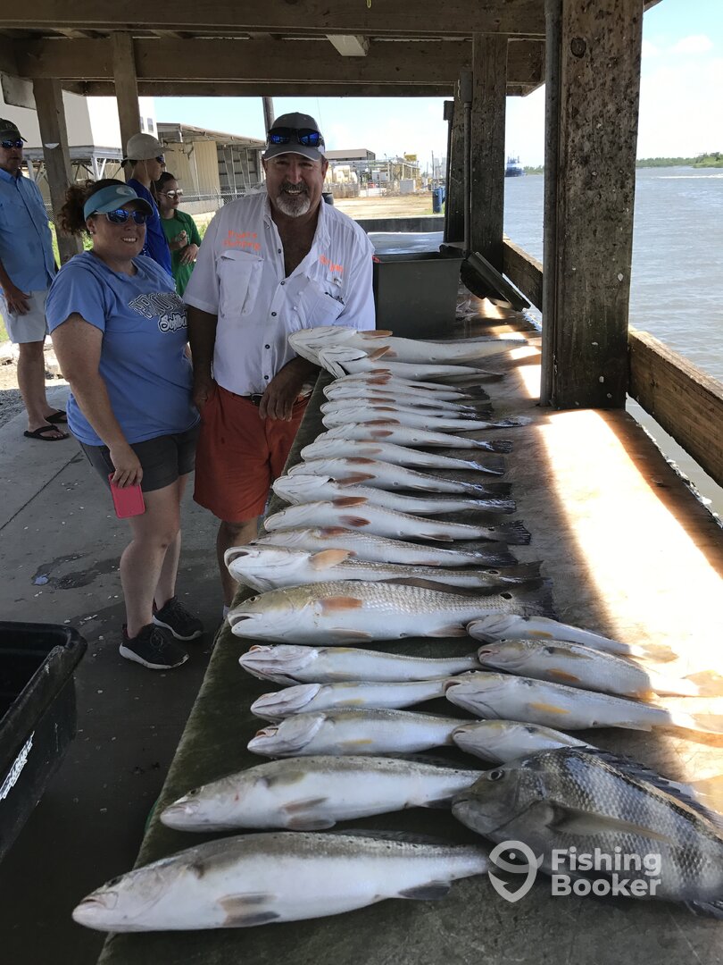 Venice Report Photo 0