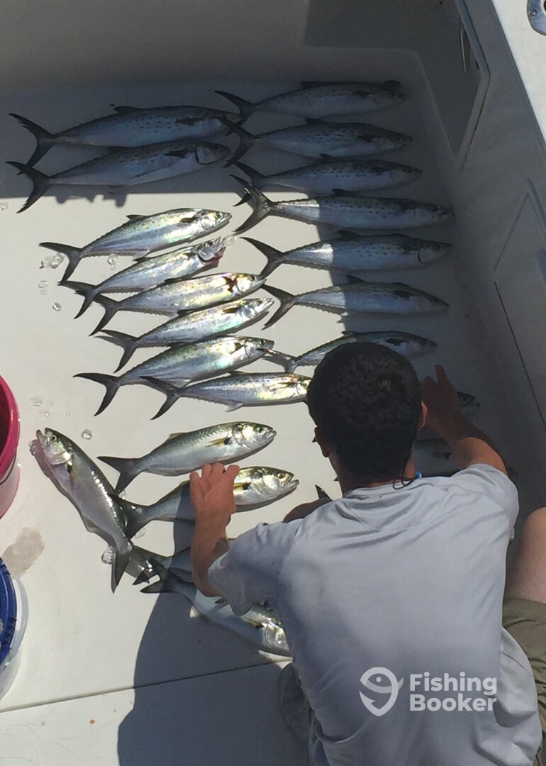 Ocean City Report Photo 0