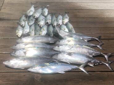 Great inshore action