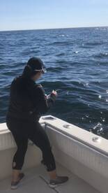 Gloucester Report Photo 2