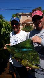 DOLPHIN FISHING ISLAMORADA