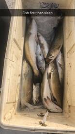 Port O'Connor Report Photo 1