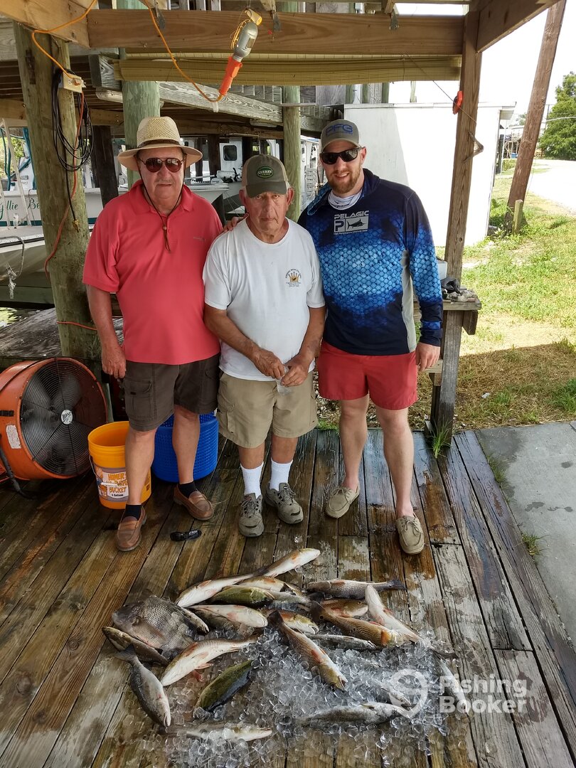 St. Bernard Report Photo 0