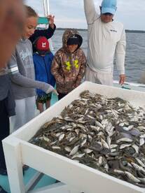 Wanchese Report Photo 2