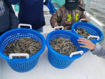 Wanchese Report Photo 1