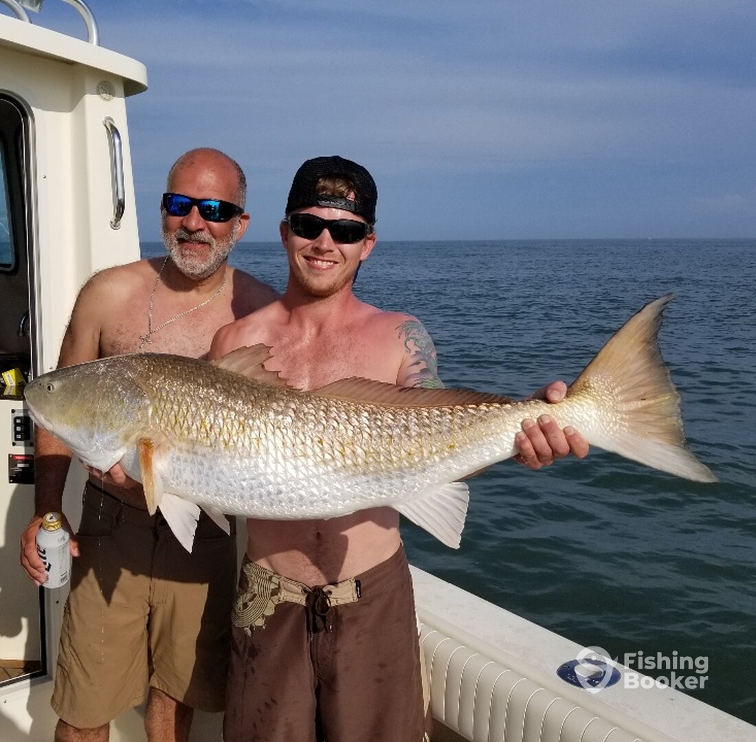 Virginia Beach Report Photo 0