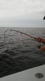 Wanchese Report Photo 2