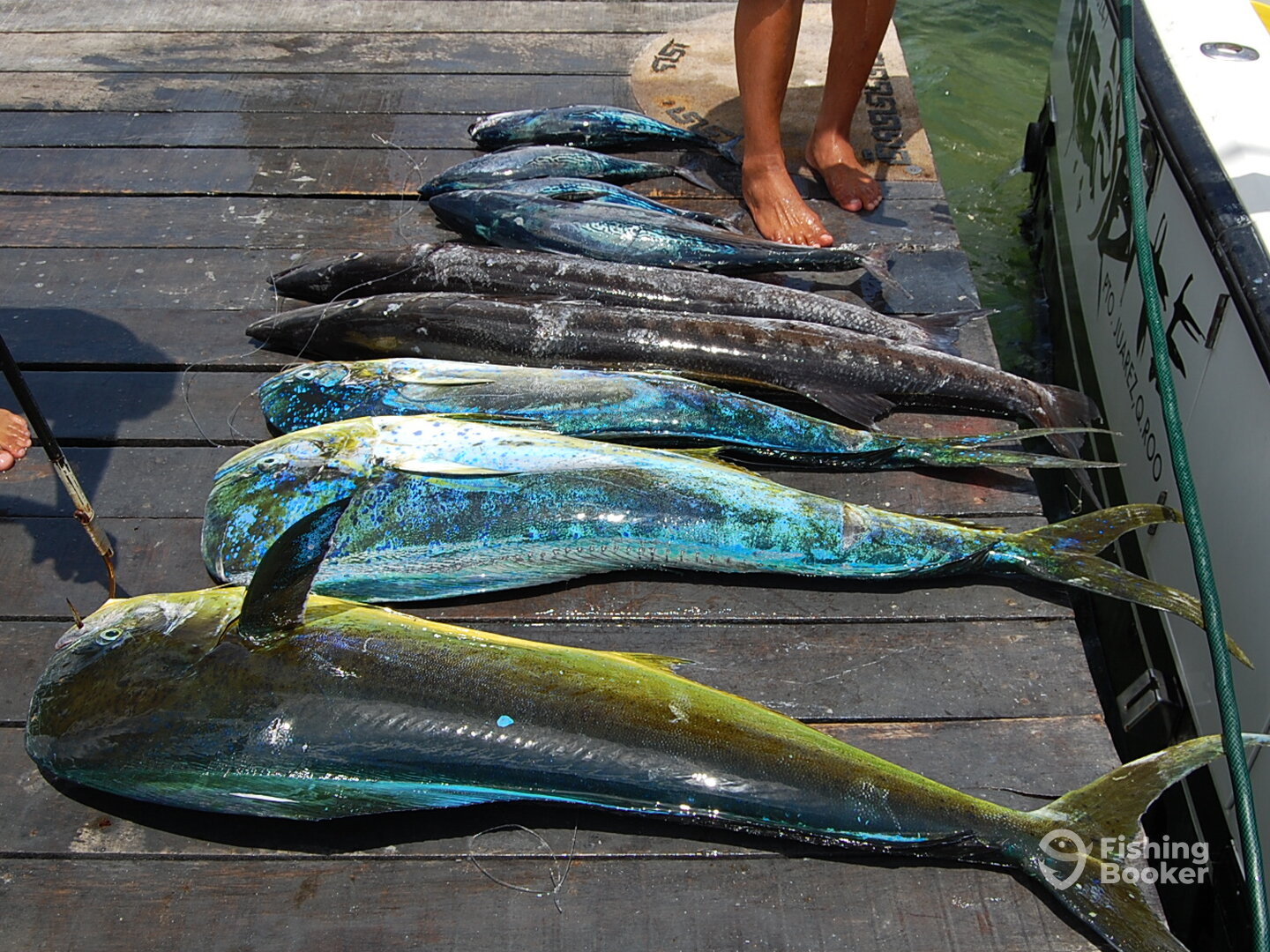 Cancún Report Photo 0