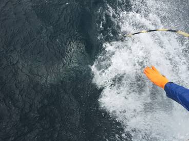 They seem to get a little mad when you bring them to the boat!!