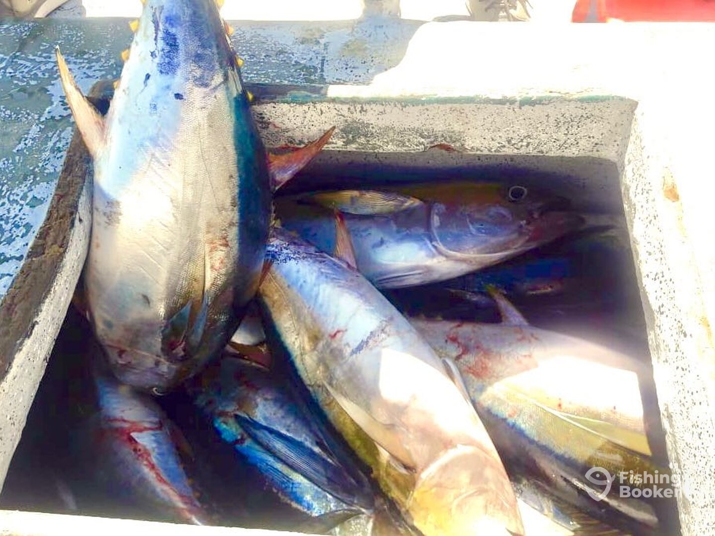 Cartagena de Indias Report Photo 0