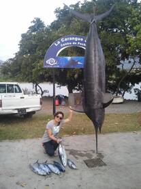 Skipjacks and 523lbs blue marlin